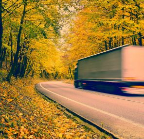 Shipping and Logistics in Autumn